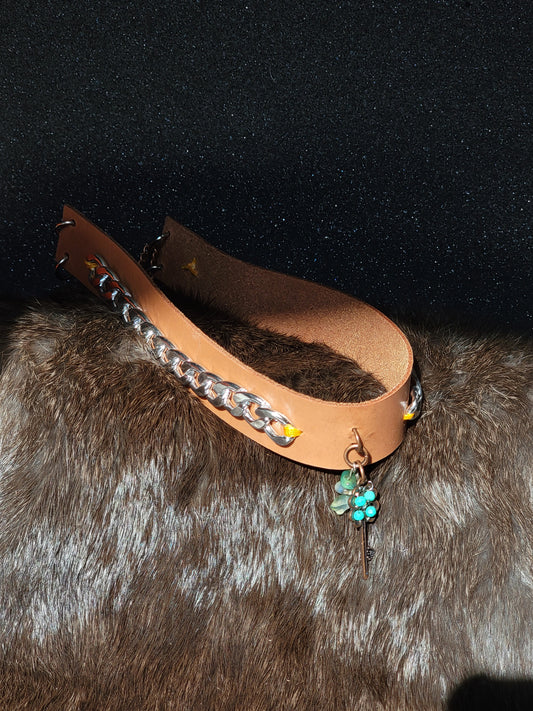 Lucky Charm Collar